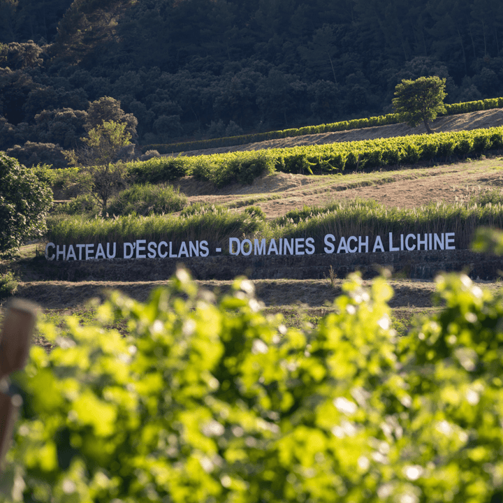 Chateau D'Esclans, Les Clans, Provence Rose, 2022 - Friarwood Wines & Spirits
