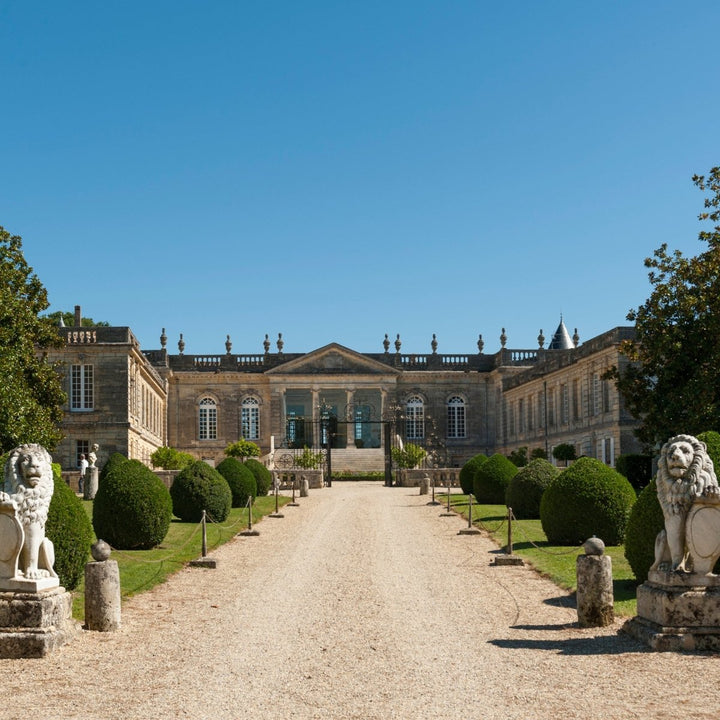 Chateau Saint Georges (Saint Emilion), 2019 - Friarwood Wines & Spirits