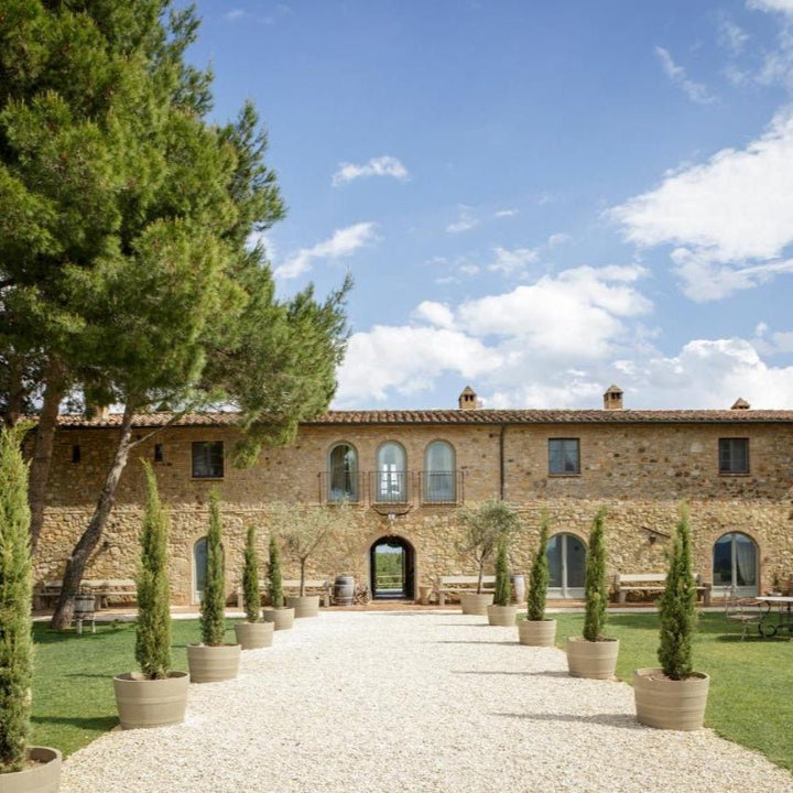 Conti di San Bonifacio, Docet Super Tuscan, 2015 - Friarwood Wines & Spirits