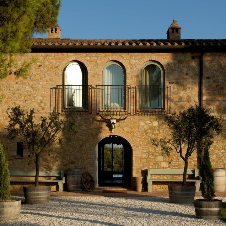 Conti di San Bonifacio, Sustinet, 2016 - Friarwood Wines & Spirits