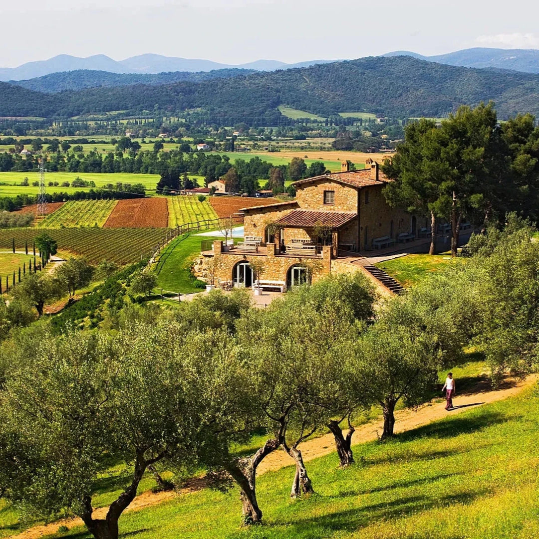 Conti di San Bonifacio, Sustinet, 2016 - Friarwood Wines & Spirits