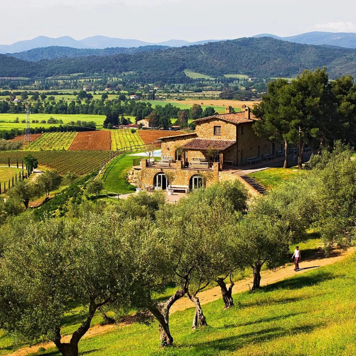 Conti di San Bonifacio, Sustinet, 2016 - Friarwood Wines & Spirits
