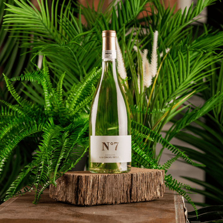 Cuvee N.7 Organic Rose, Domaine de la Croix Belle, 2022 - Friarwood Wines & Spirits