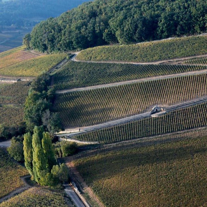 Domaine Antonin Guyon, Aloxe Corton 1er Cru 'Les Fournieres', 2018 - Friarwood Wines & Spirits