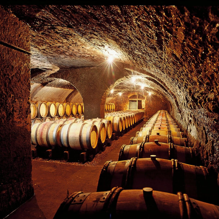 Domaine Antonin Guyon, Chambolle Musigny 'Clos du Village' Monopole, 2020 - Friarwood Wines & Spirits