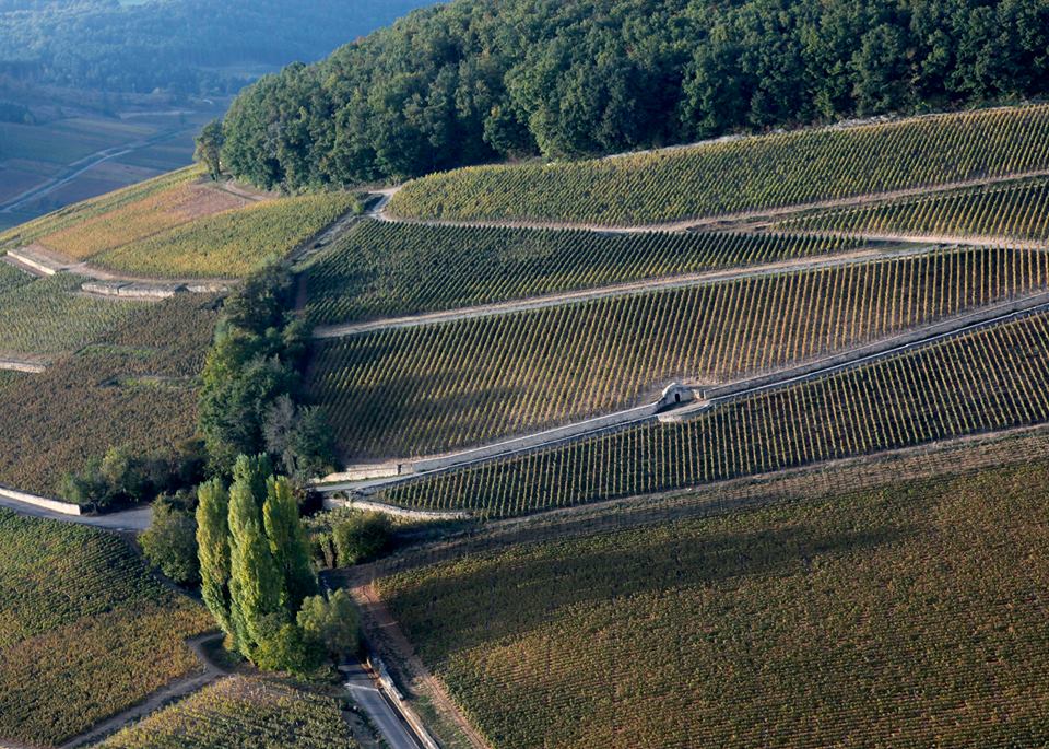 Domaine Antonin Guyon, Savigny les Beaune 'Les Goudelettes', 2022 - Friarwood Wines & Spirits