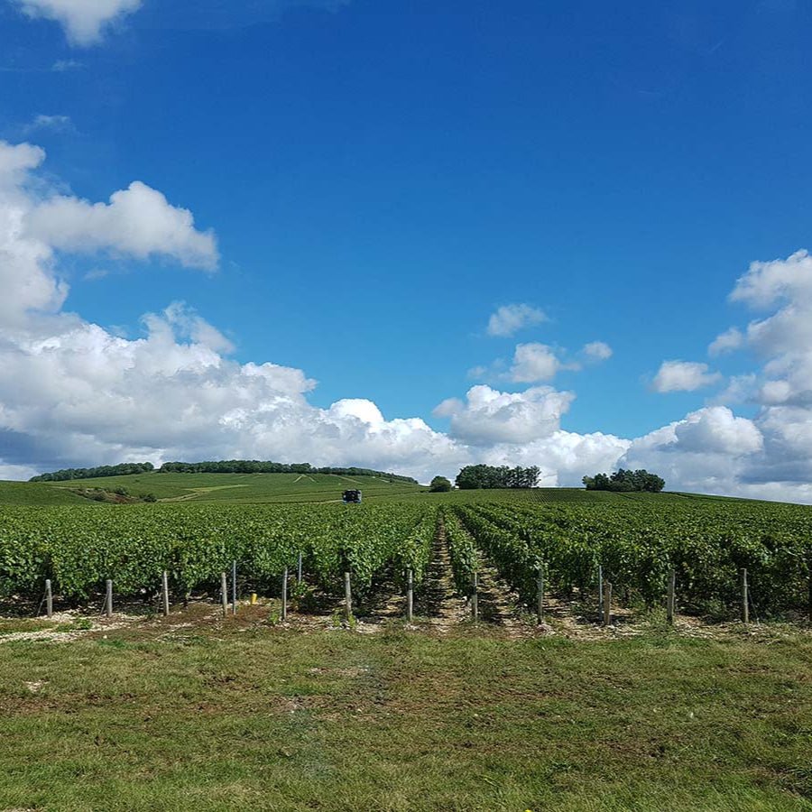 Domaine Ellevin, Chablis 1er Cru 'Vaucoupin', 2023 - Friarwood Wines & Spirits