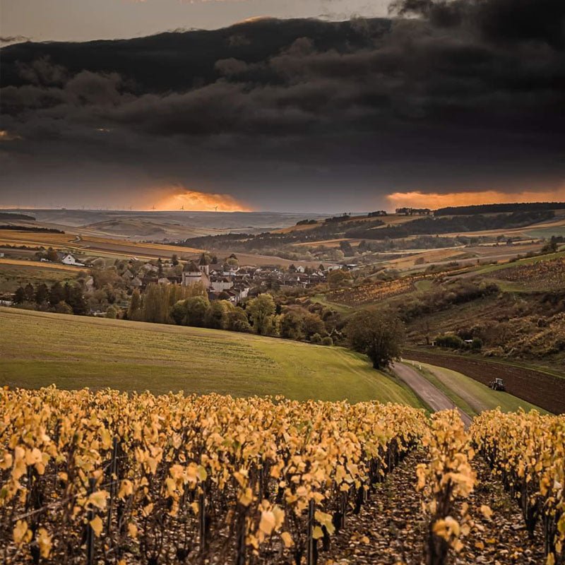 Domaine Ellevin, Chablis 1er Cru 'Vaucoupin', 2023 - Friarwood Wines & Spirits