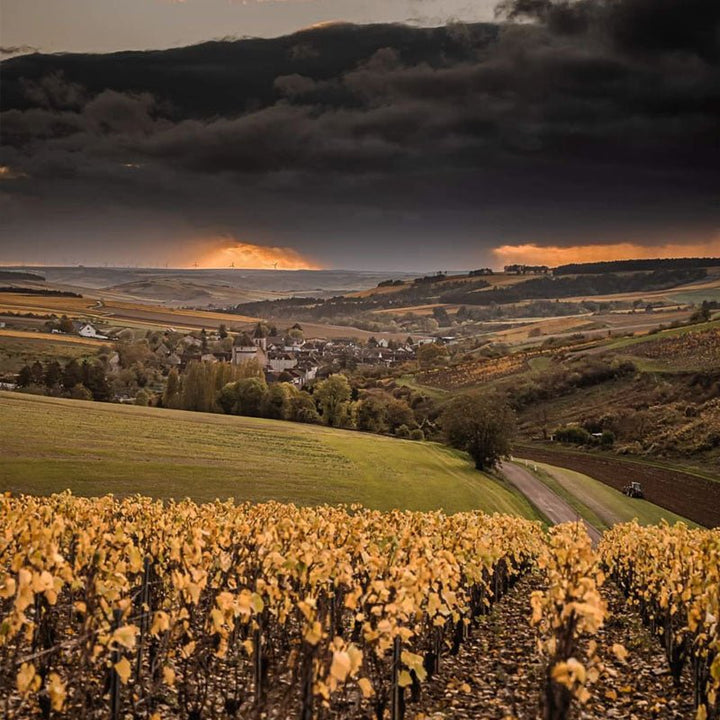 Domaine Ellevin, Chablis 1er Cru 'Vaucoupin', 2023 - Friarwood Wines & Spirits