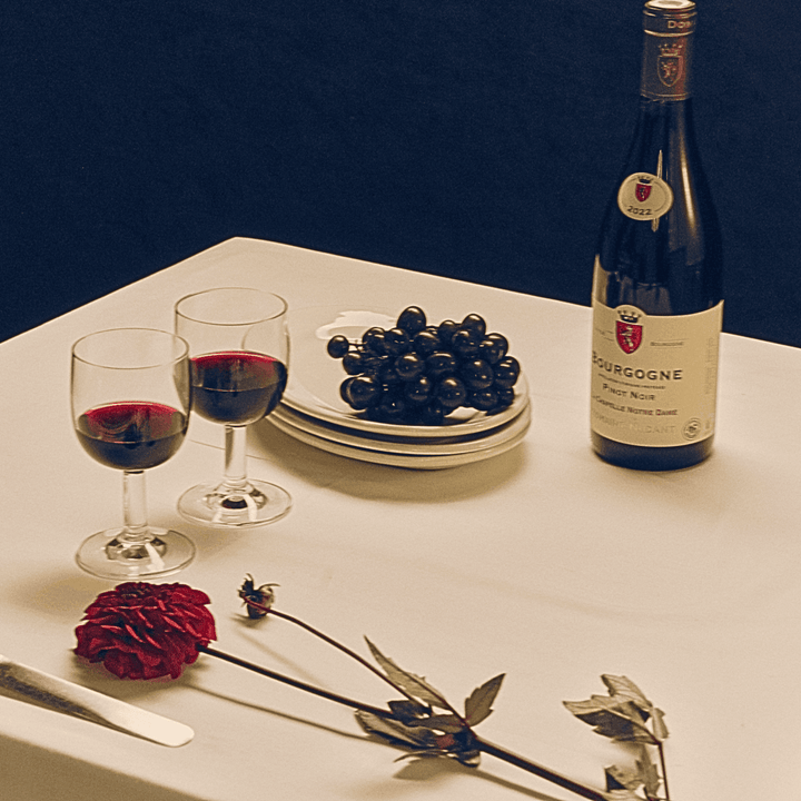 Domaine Nudant, Bourgogne Pinot Noir, 2022 - Friarwood Wines & Spirits