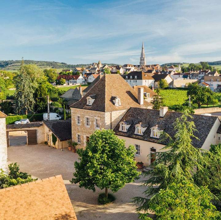 Domaine Vincent Bouzereau Corton Rouge Grand Cru 'Les Fietres', 2021 - Friarwood Wines & Spirits