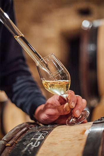 Domaine Vincent Bouzereau, Meursault, 2022 - Friarwood Wines & Spirits