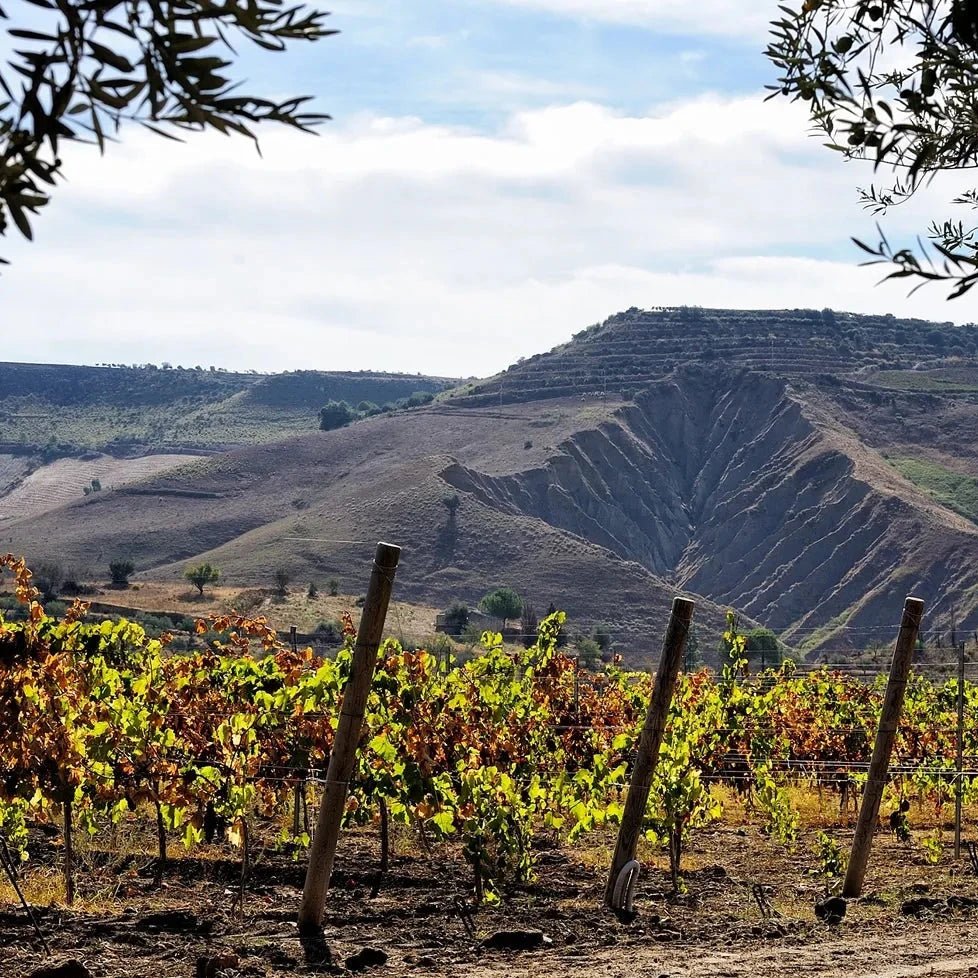 Judeka, Etna Rosso DOC, 2021 - Friarwood Wines & Spirits