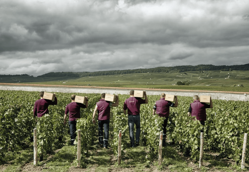 Krug, Grande Cuvee 172eme - Friarwood Wines & Spirits