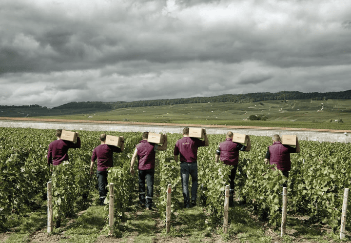 Krug, Grande Cuvee 172eme - Friarwood Wines & Spirits