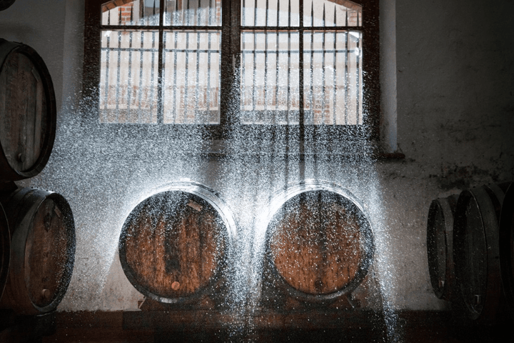 Krug, Grande Cuvee 172eme - Friarwood Wines & Spirits