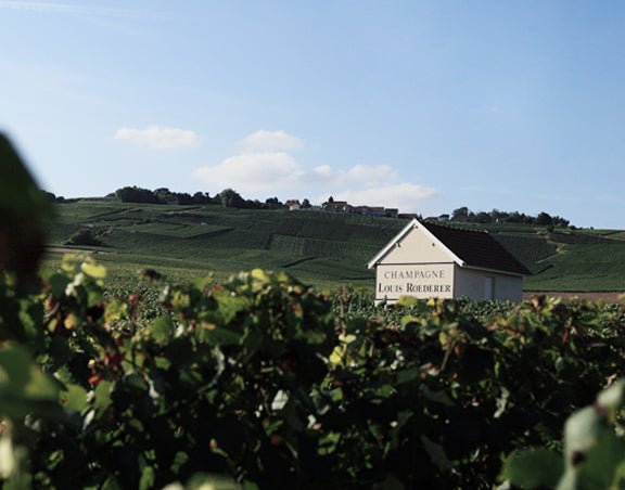 Louis Roederer Collection 246 Brut Champagne - Friarwood Wines & Spirits