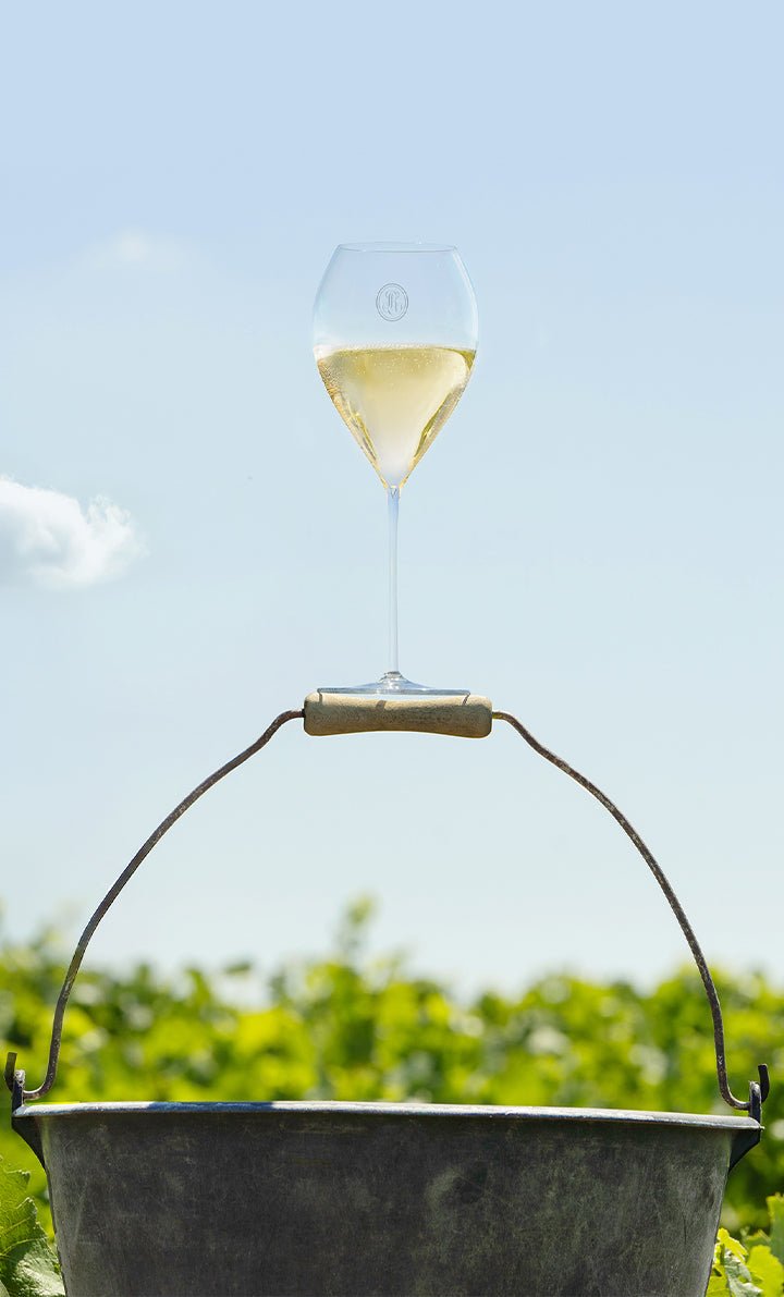 Louis Roederer Collection 246 Brut Champagne - Friarwood Wines & Spirits