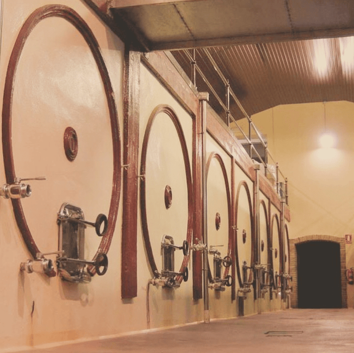 Marques de Arviza, Verdejo 'La Mision', 2024 - Friarwood Wines & Spirits