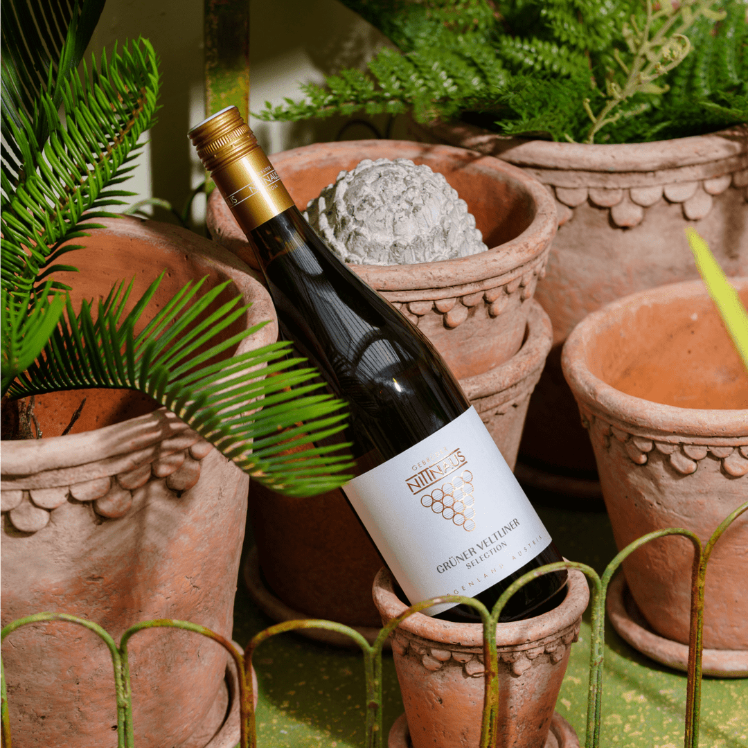 Nittnaus, Gruner Veltliner Selection, 2024 - Friarwood Wines & Spirits