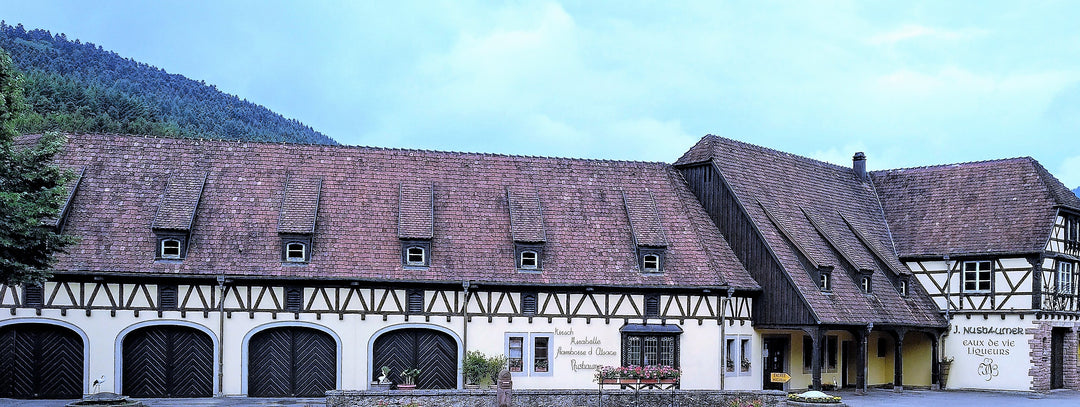 Traditional building with a sloped roof and white walls, set against a mountainous landscape.
