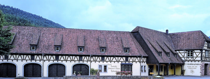 Traditional building with a sloped roof and white walls, set against a mountainous landscape.