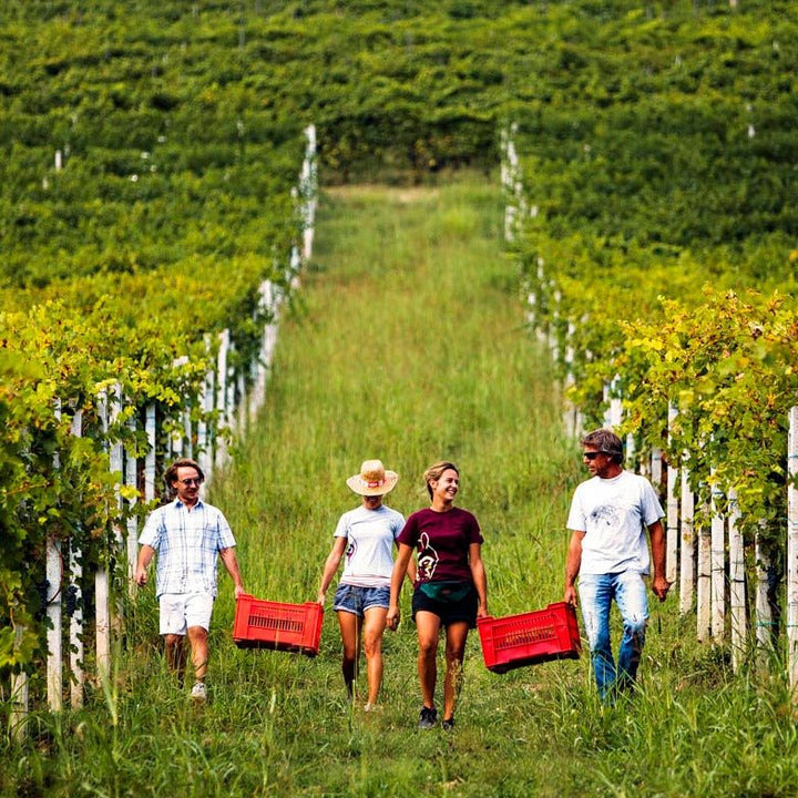 Reva, Barolo Cannubi, 2020 - Friarwood Wines & Spirits