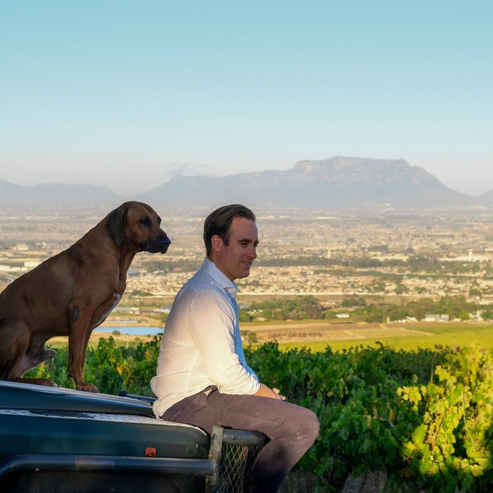 Saxenburg, Guinea Fowl Red, 2021 - Friarwood Wines & Spirits