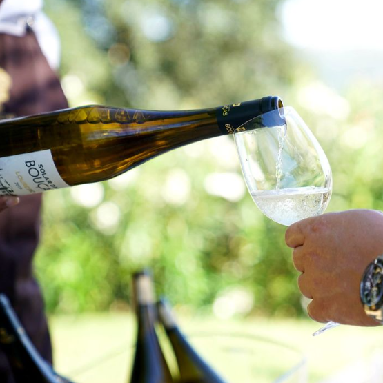 Solar das Boucas, Escolha Vinho Verde Release 2021 - Friarwood Wines & Spirits