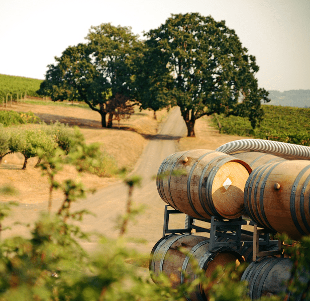 Stephen Vincent, Chardonnay, 2021 - Friarwood Wines & Spirits