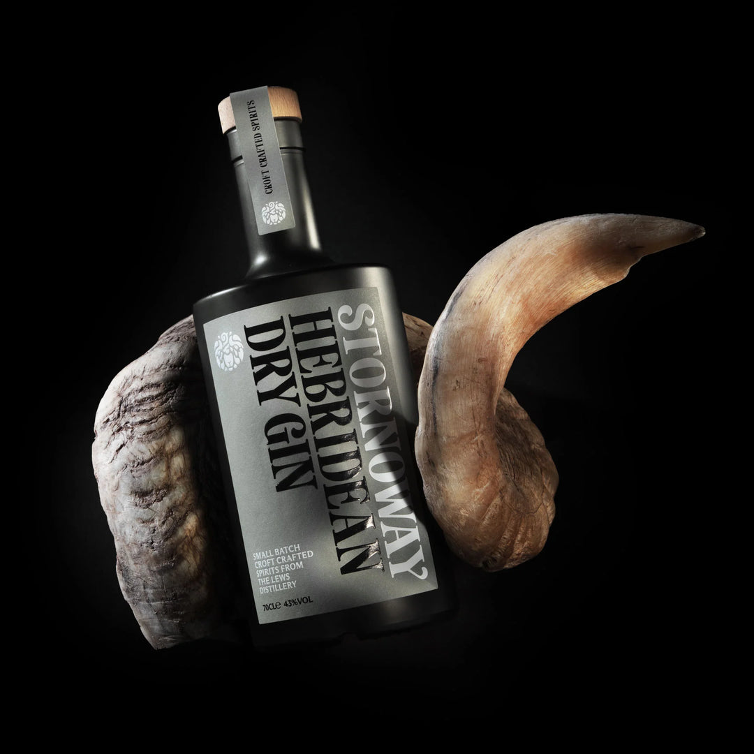 Bottle of St Monmouth Hebridean Dry Gin with natural elements on a black background