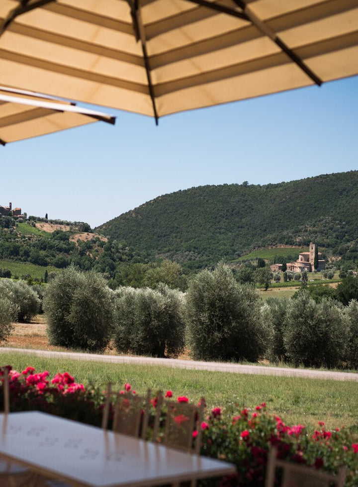 Tenuta Fanti, Rosso di Montalcino, 2021 - Friarwood Wines & Spirits