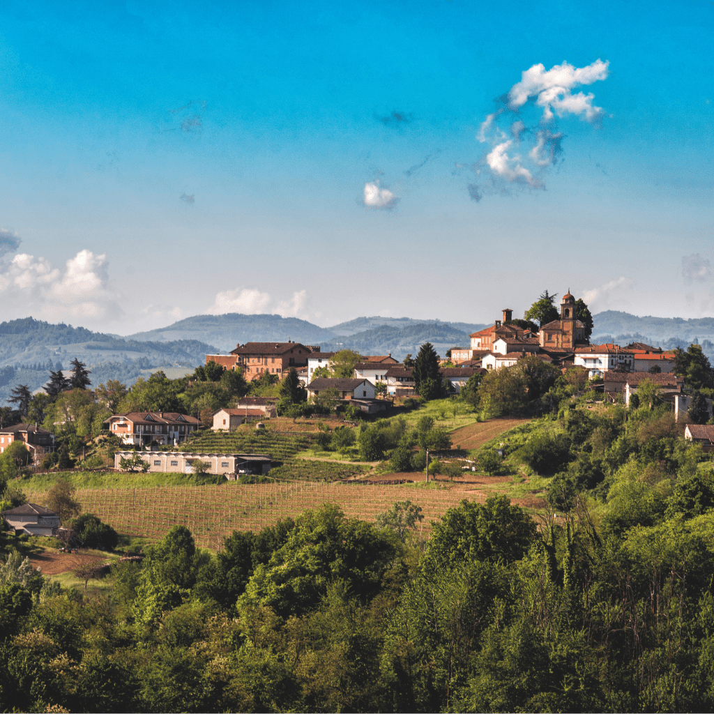 Vinchio Vaglio, Barolo, 2021 - Friarwood Wines & Spirits