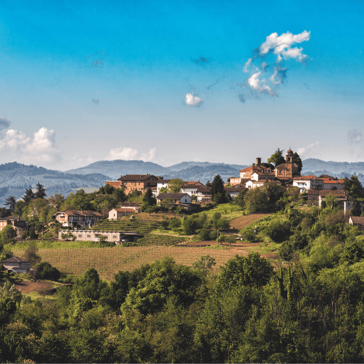 Vinchio Vaglio, Barolo, 2021 - Friarwood Wines & Spirits